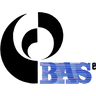 Carrier Identifier: RP
